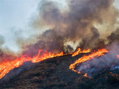 Wildfire smoke can hurt you in surprising ways .
